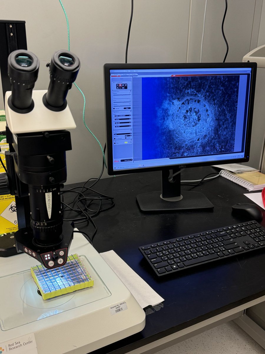 Global Change Ecology Lab tweet media