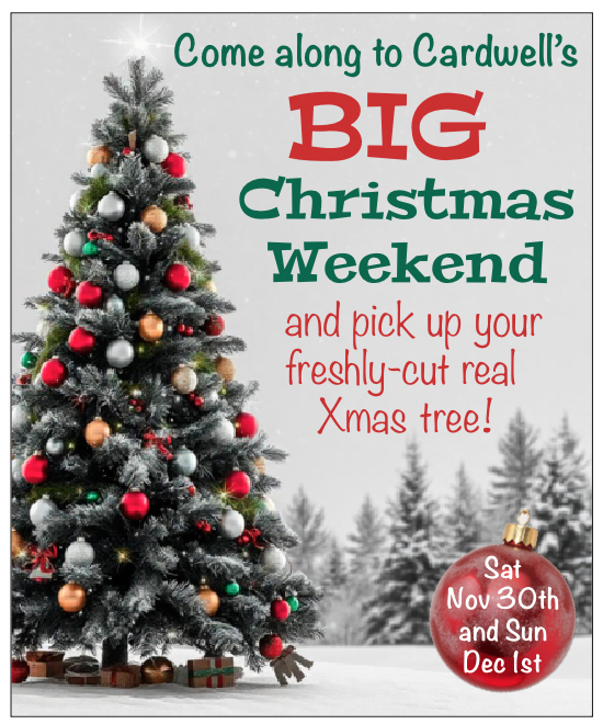 CardwellGC tweet media