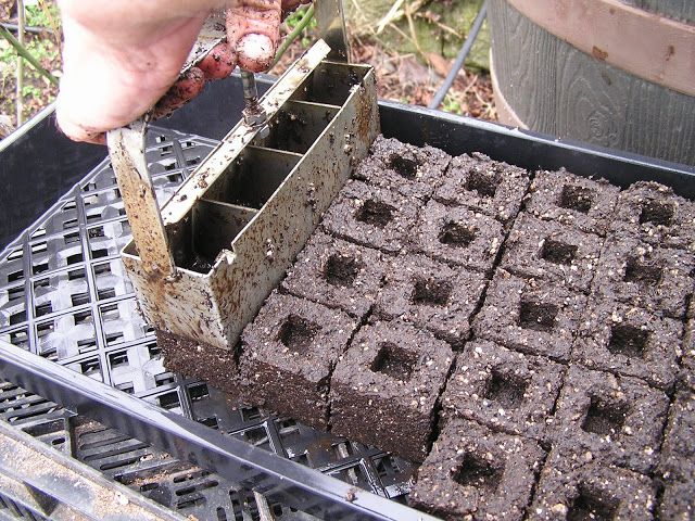 Soil Association Scotland (@soilassocscot) on Twitter photo Some of our <a href="/IFarmers/">Innovative Farmers</a> growers have been trialling #PeatFree #GroBlocks to reduce #plastic and #peat in propagation 🌱🪱
Join us online this Thursday evening to hear how they got on 👇
🔗eventbrite.co.uk/e/peat-free-gr…
All welcome!
#fieldlab #Agroecology Some of our <a href="/IFarmers/">Innovative Farmers</a> growers have been trialling #PeatFree #GroBlocks to reduce #plastic and #peat in propagation 🌱🪱
Join us online this Thursday evening to hear how they got on 👇
🔗eventbrite.co.uk/e/peat-free-gr…
All welcome!
#fieldlab #Agroecology