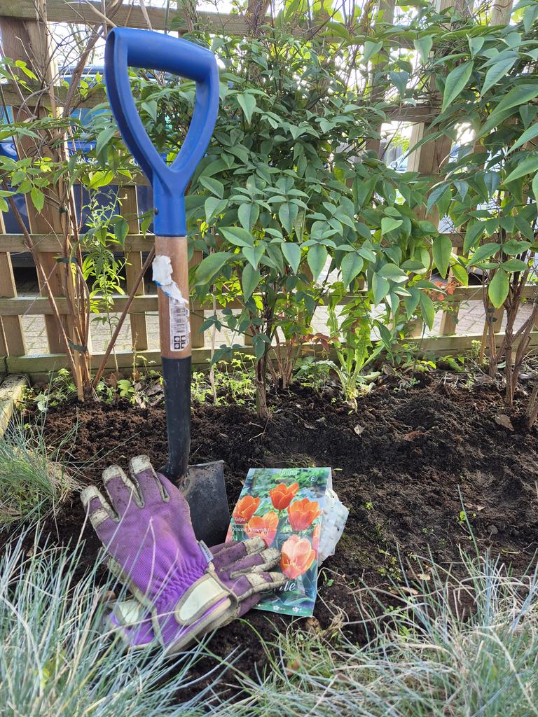 All in a day's work for the <a href="/HPFT_NHS/">Hertfordshire Partnership University NHS FT (HPFT)</a> #Safeguarding team. 
#16daysofactivism raising awareness of Domestic Abuse related suicide.