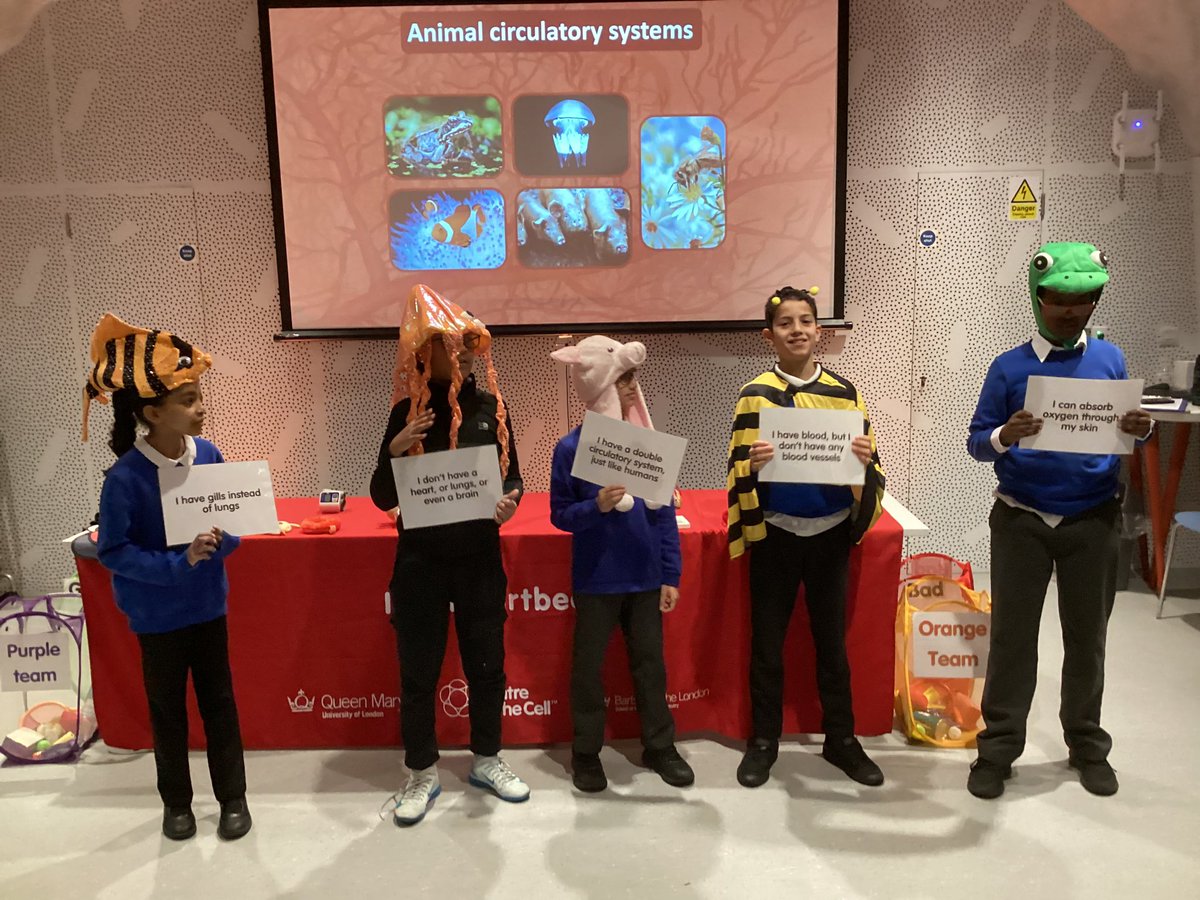 What a wonderful morning <a href="/CentreoftheCell/">Centre of the Cell</a> learning about the heart and the circulatory system. Lots of fun activities and silly hats!