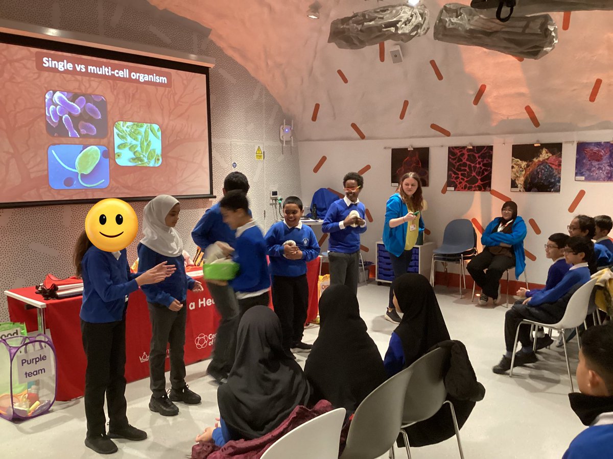 Cyril Jackson Year 6 tweet media