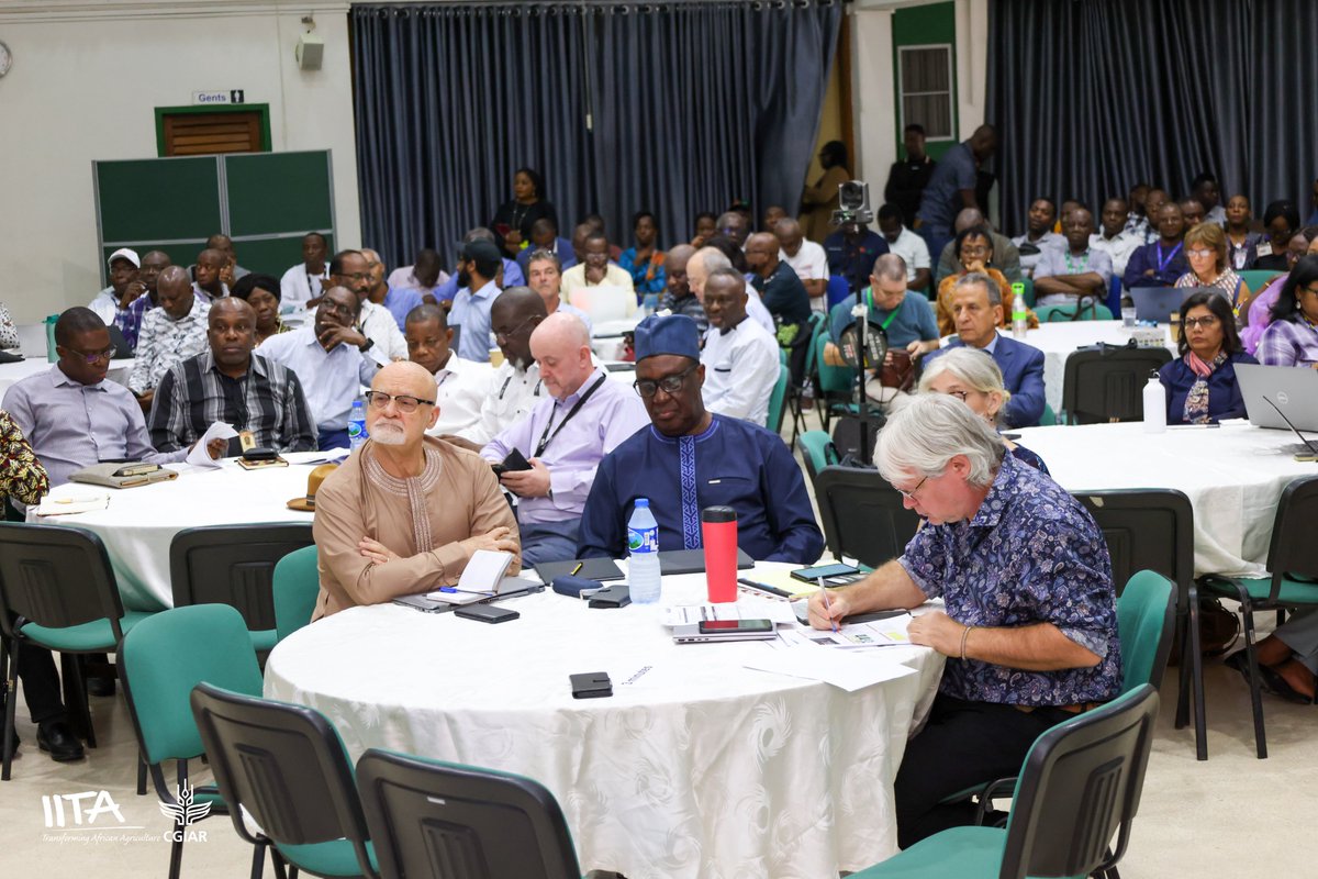 Our 2024 annual work planning week starts on high notes!!! 🌱 🌾 🥔 🌽

This week, over 200 scientists from diverse disciplines are convened in Ibadan, Nigeria to map out sustainable solutions that promise to transform millions of lives and the livelihood of smallholder farmers