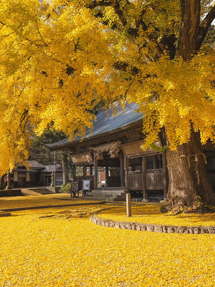 lol_hime_'s tweet photo. 岡山にある神社の本気が凄すぎた https://t.co/aGEuaEUPRY