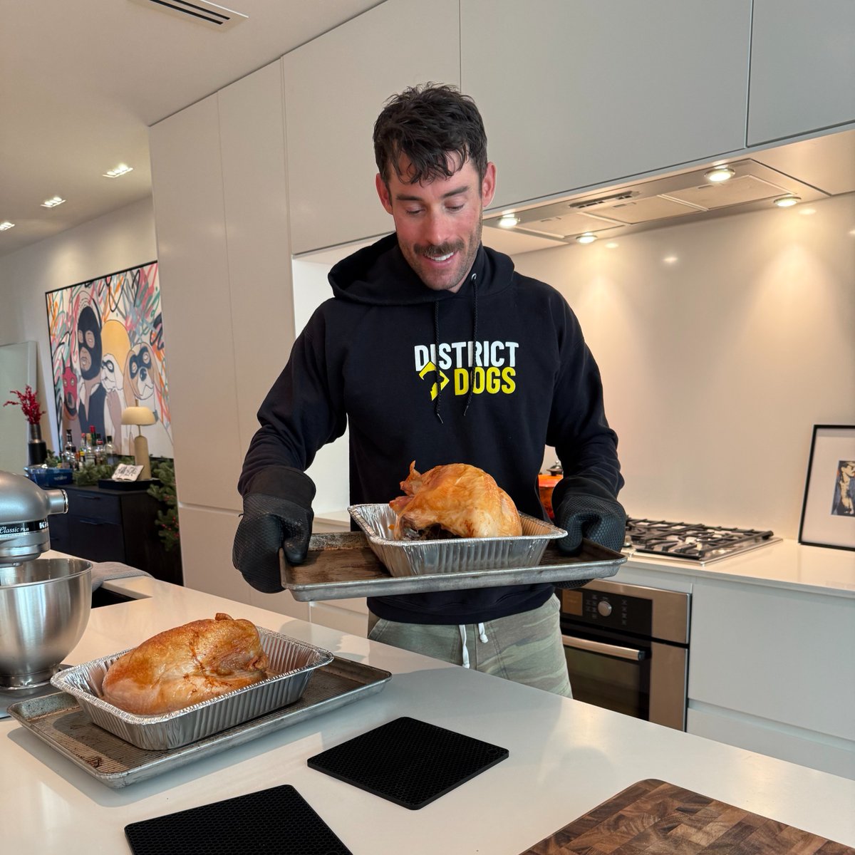 District Dogs tweet media