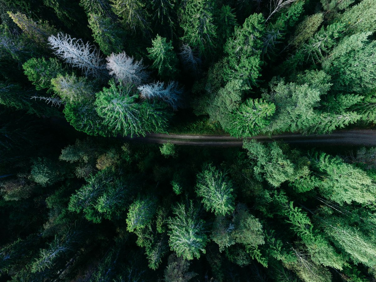 CDRterra's tweet image. No 1.5°C pathway exists without #CDR deployment. This raises questions about its fair allocation by countries. A @CDR_PoEt policy brief finds: 🇩🇪should deploy much more than planned, alongside stringent emissions reductions: zenodo.org/records/141777… Credit: @gerandeklerk @unsplash