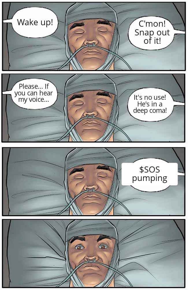 Strudels (@strudelsnfts) on Twitter photo 