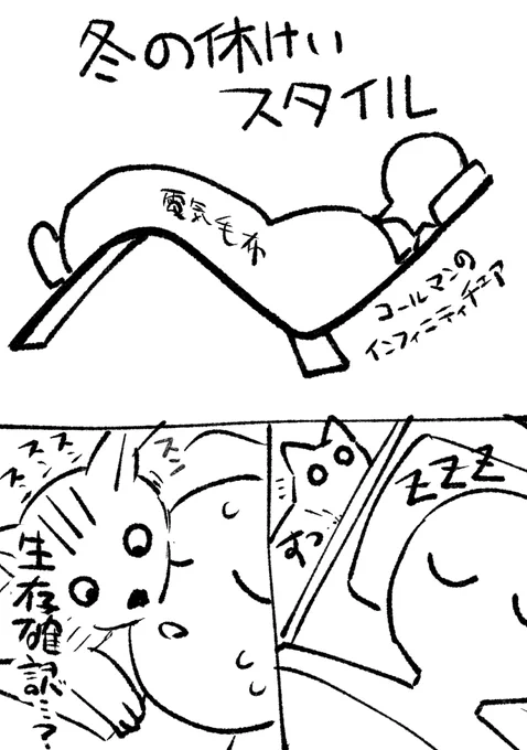 猫の謎行動 
