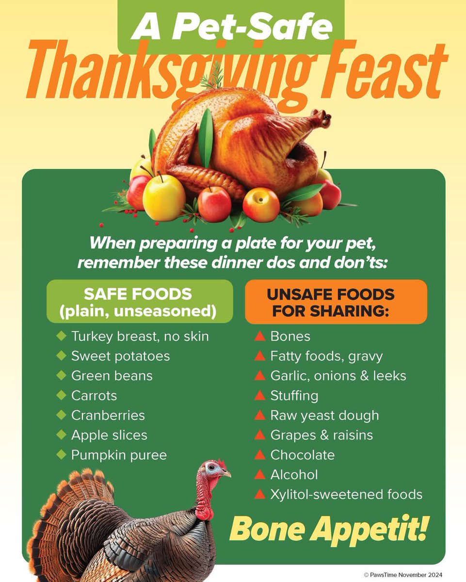As you enjoy your favorite dishes around the dinner table this holiday season, remember that not all foods are safe to share with your furry friends.

Check out this helpful infographic to use as a guide when preparing a Thanksgiving plate for your pets 🐾