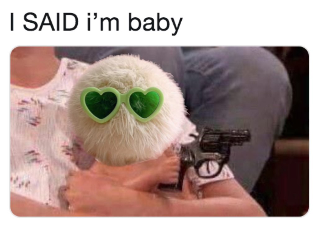 getbabyxyz tweet media