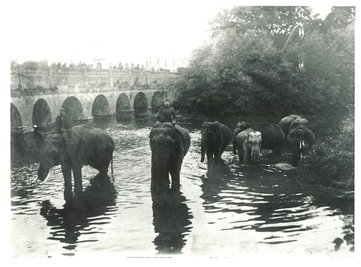 With #flooding &amp; traffic congestion in #Chippenham an ongoing problem, please check before travelling that the History Centre is open. We will post updates on our website &amp; social media sites.