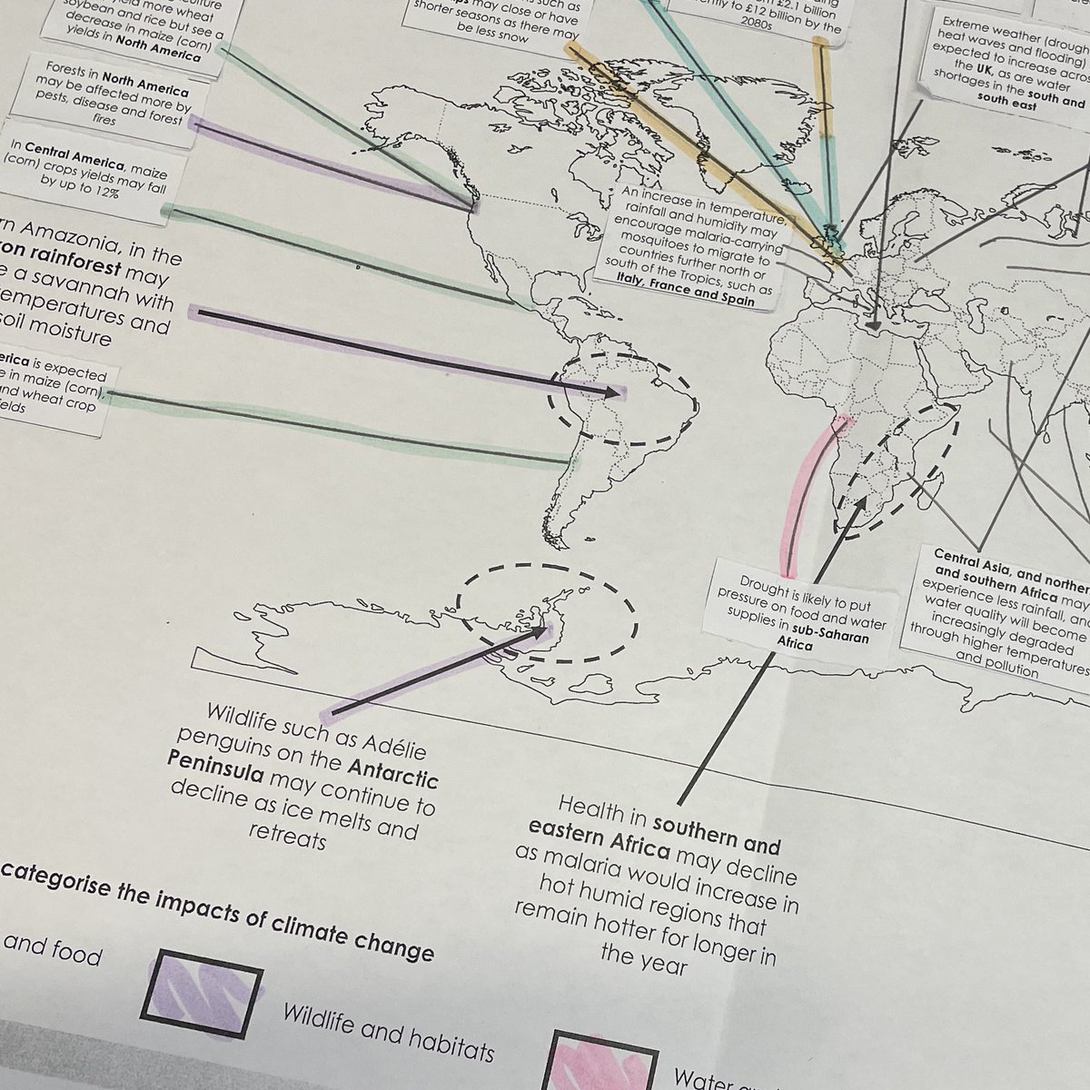 Kelly Peppin 🌍 tweet media