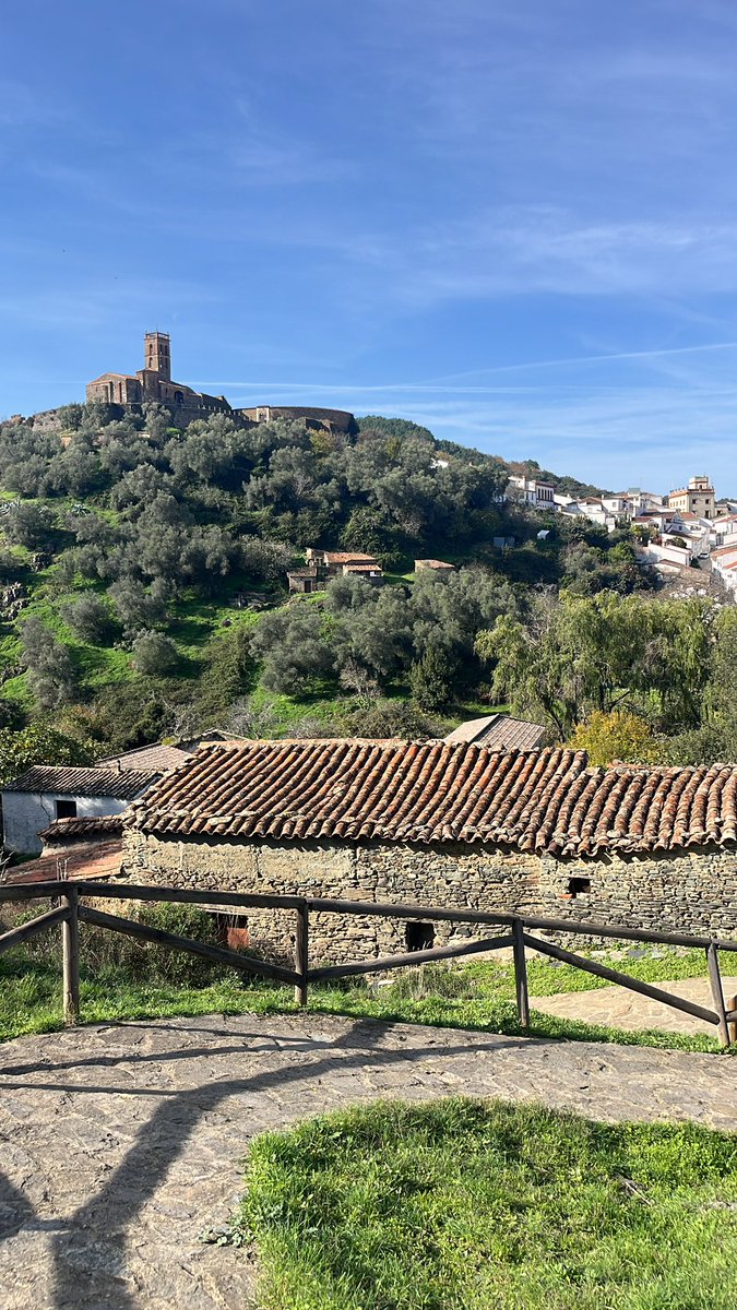 Finca El Carrascal tweet media