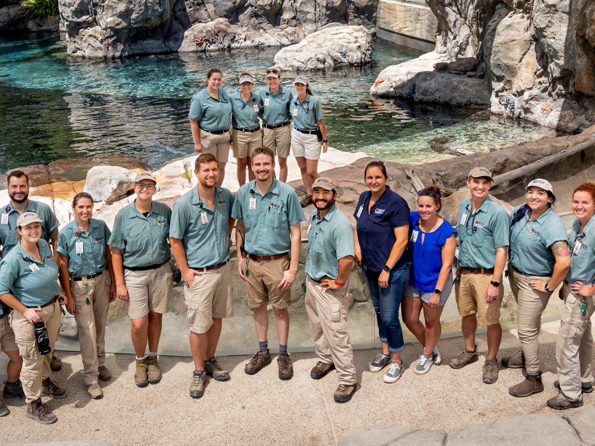 FresnoZoo's tweet photo. Starting our #THANKFULWeek with a giant shout out to our incredible team at Fresno Chaffee Zoo! Your dedication and passion in every field makes the magic happen every day. To all departments and teams - we see you, we appreciate you! 🧡 https://t.co/rC3Wb7TRqK