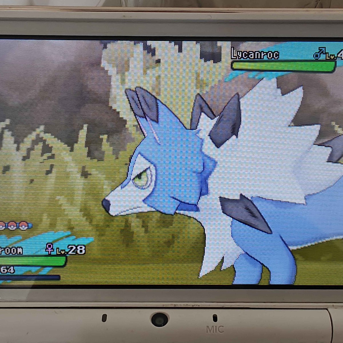 m_slowpoke's tweet photo. first phase for jangmo-o is done after 5930 and it's a day lycanroc. i hope more will be under odds rather than over https://t.co/LGmZ4x5hwP