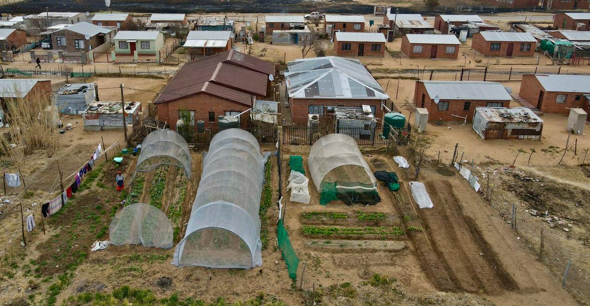 UmsiziProjects's tweet photo. Rising costs are hitting SA hard, but Umsizi is empowering families to grow their own food! 🌱🍅 One garden at a time, we're creating self-sustained communities &amp; breaking free from dependency. Join the #GreenRevolution! 🌍 #FoodSecurity #SustainableLiving #GrowChange #Umsizi https://t.co/clKBPakDQi