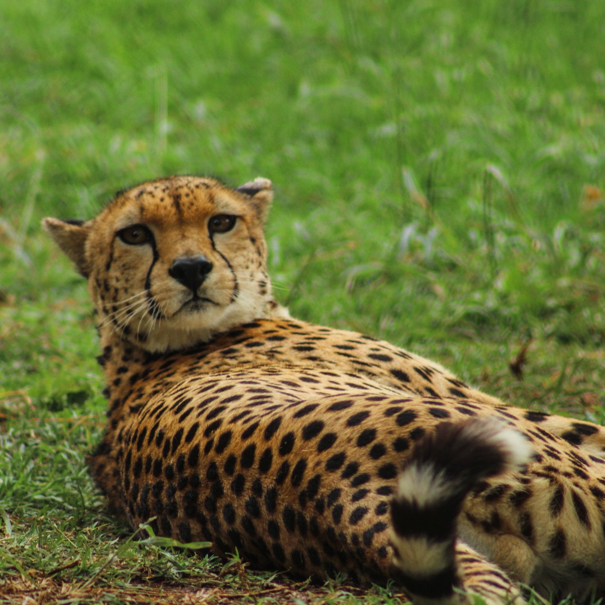 Projects Abroad tweet media