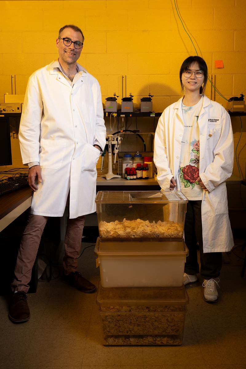 WakeForest's tweet photo. Senior Jo Cai, a double major in biology and psychology and her mentor Joost Maier, a translational neuroscience professor in the Wake Forest School of Medicine used flavor perception in rats as a model system to gain fundamental insights into how the brain processes multisensory information. “Working on this neuroscience-related research project enabled me to gain hands-on research experience and to think critically. It helped put me in an ideal position to start applying to PhD programs in my senior year,” Cai said.

Every year, Wake Forest undergraduates have the opportunity to spend their summer months with a faculty mentor researching and making advances on some of the most challenging questions of our day.

For nearly 20 years, the Undergraduate Research and Creative Activities Center (URECA) has promoted and celebrated mentored scholarship. It is a hallmark of the Wake Forest experience – students and faculty, side by side, working to develop solutions to serious questions in an effort to better the world around them.

#ProHumanitate