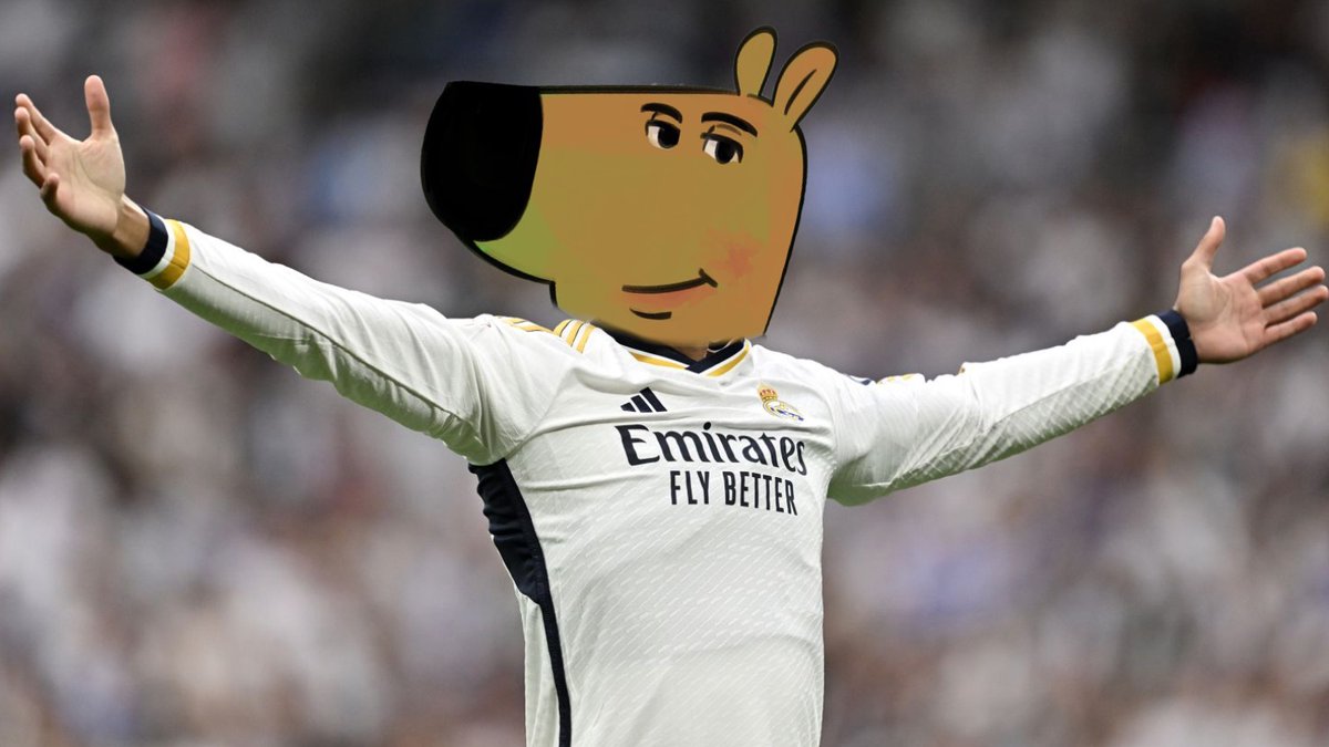 just a chill guy | fan page tweet media