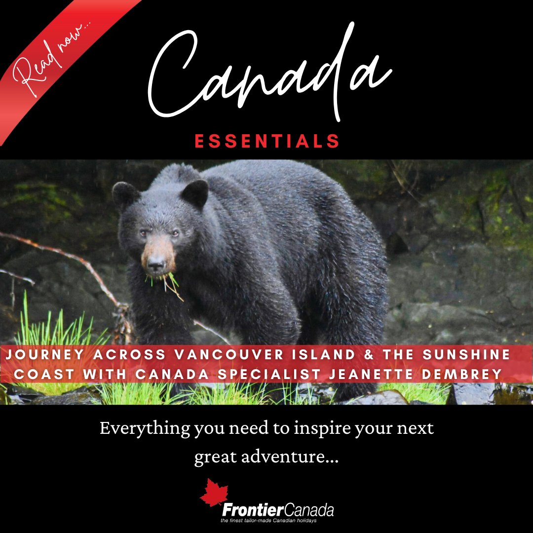 Frontierworld's tweet photo. Embark on a journey across Vancouver Island and the Sunshine Coast with Canada specialist, Jeanette Dembrey...

https://t.co/HWNYiMTC02

#ExploreCanada #VancouverIsland #sunshinecoast #travel #traveltip #travelreview https://t.co/Tj6gQrNgpH