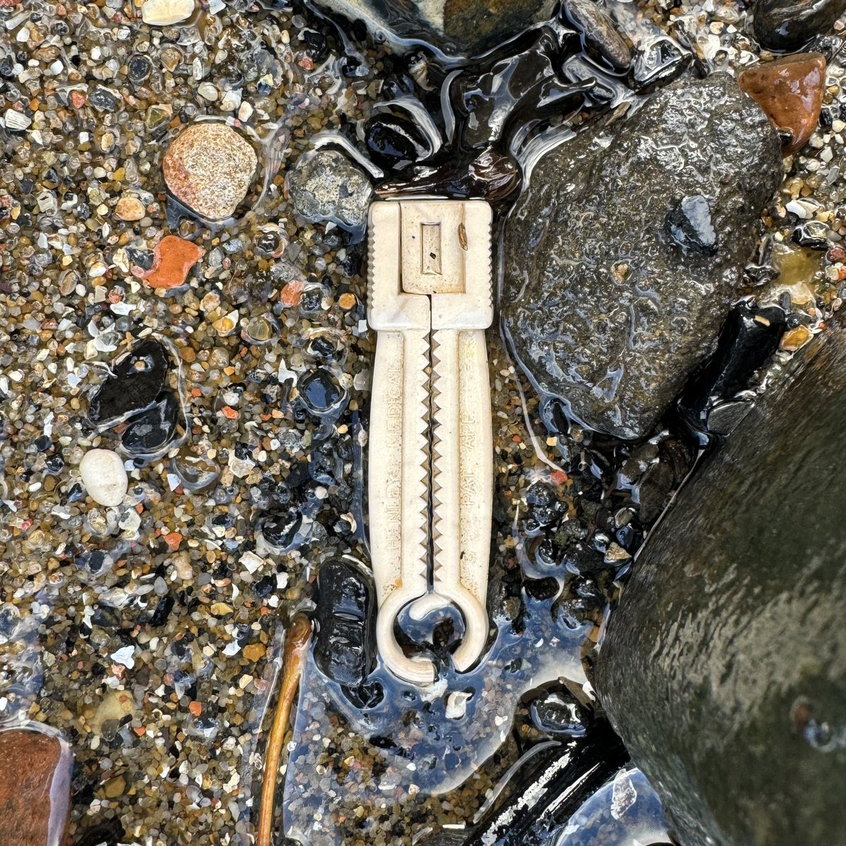 LondonMudlark's tweet photo. The Thames super sewer is now partially operational with it coming into full operation in 2025. They say it captured half a million cubic metres of sewage in a 24-hour period, but it missed this hospital waste today:
* Umbilical cord clamp
* ECG electrode sticker
* Pills https://t.co/leBPlMdMQ5