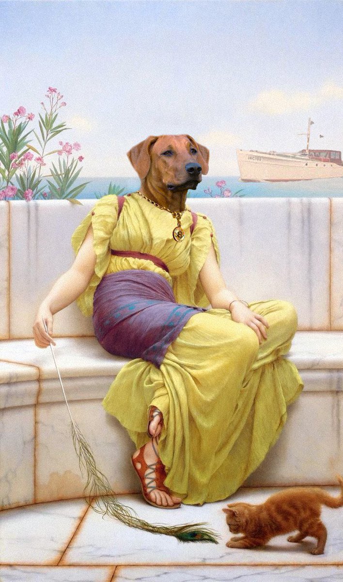 Decentralised or not….

This is a dog’s world.