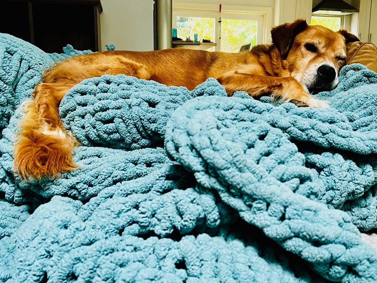 One blanket to rule them all