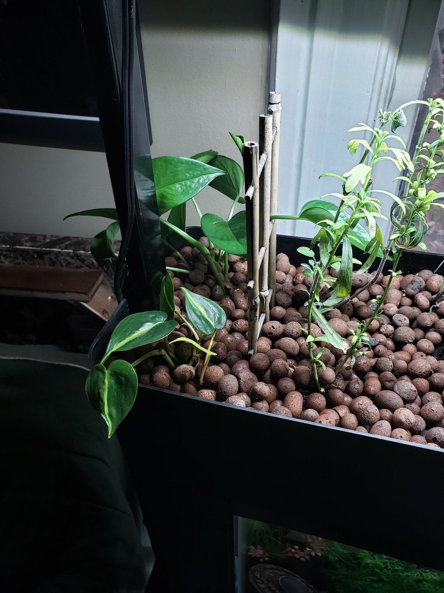 Justin Stanley tweet media