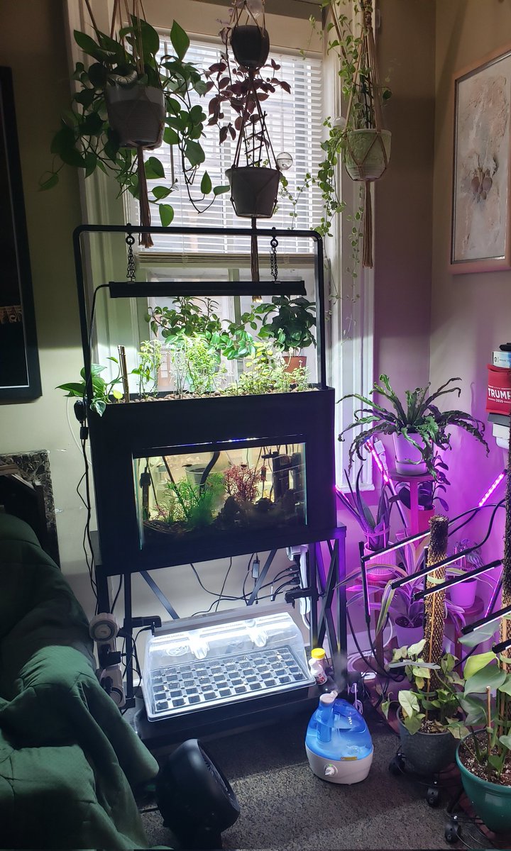 Justin Stanley tweet media