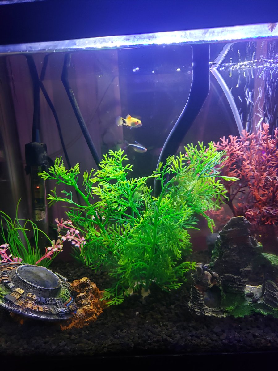 Justin Stanley tweet media