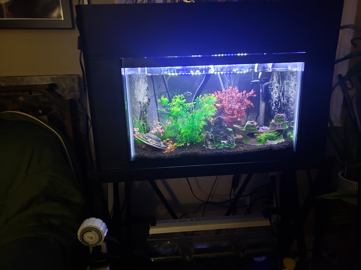 If it ain't Aquaponics I don't want it.