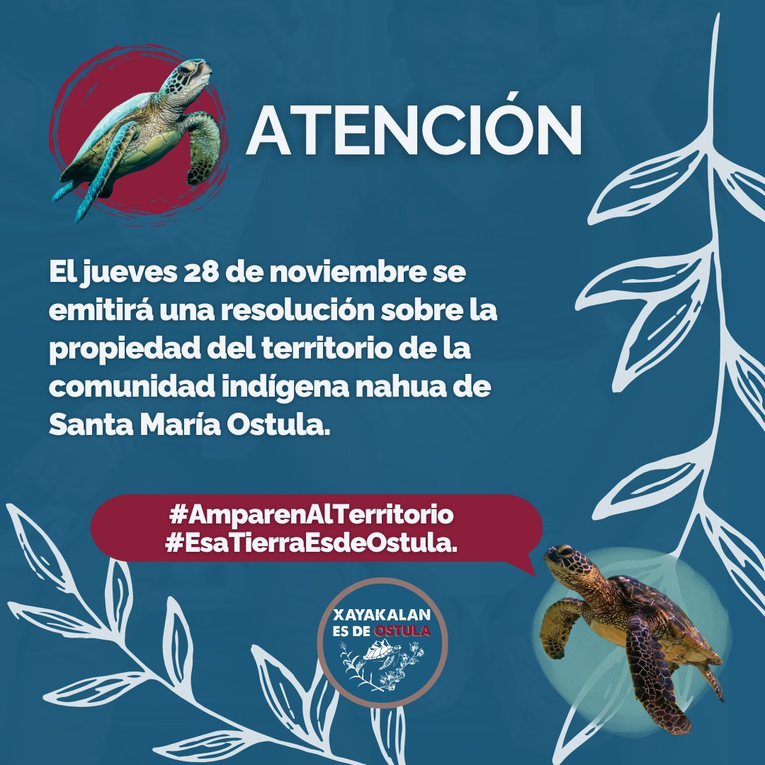 CNI_Mexico's tweet photo. El jueves 28 de noviembre se emitirá una resolución sobre la propietaria del territorio de la comunidad indígena nahua de Santa María Ostula 

 #EsaTierraEsdeOstula 
#AmparenAlTerritorio https://t.co/VSid3Tn0OZ