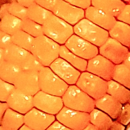 Springer tweet media