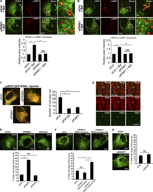 Journal of Cell Biology tweet media