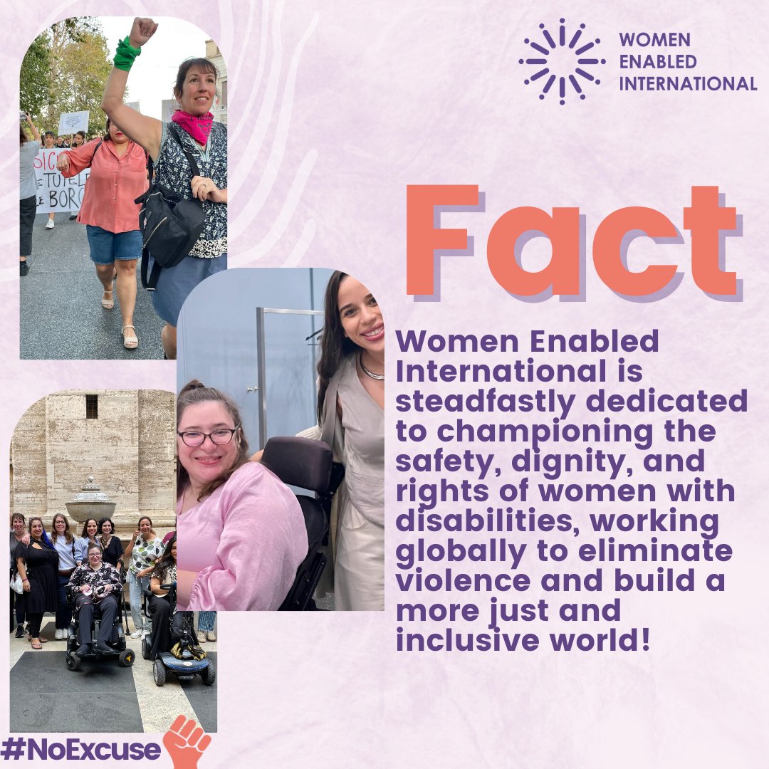 Women Enabled International tweet media