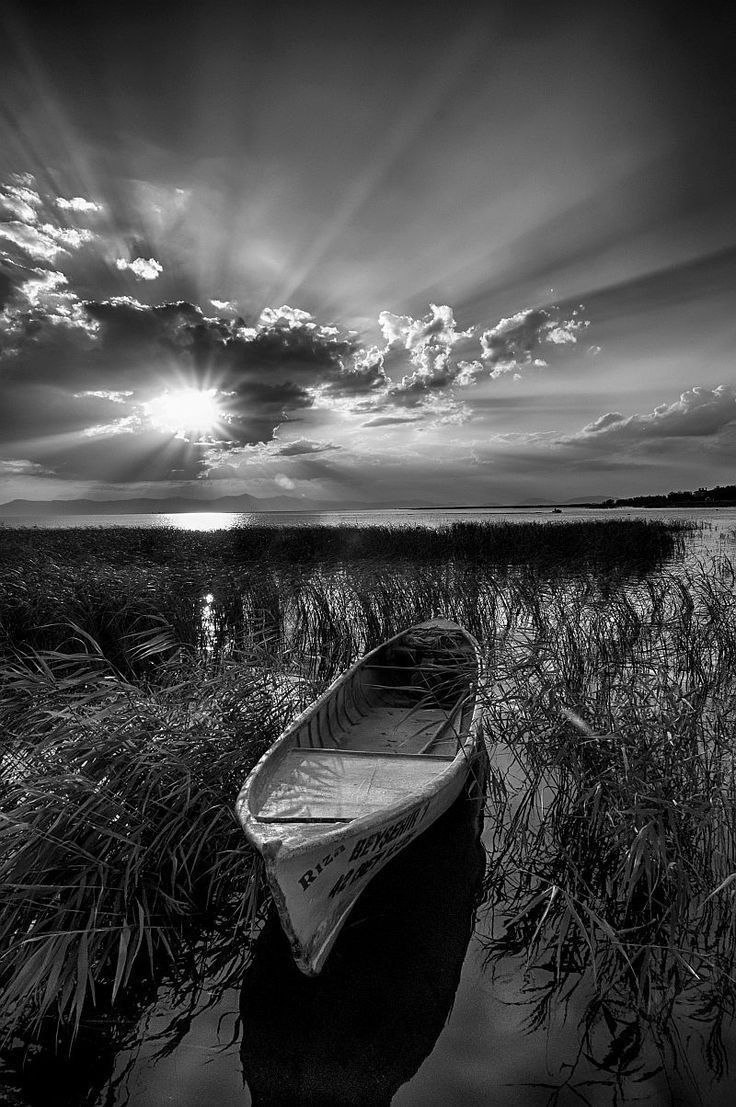 كم مرة بدوني
كنت تستريح
في دفء قصيده
وبرد الصمت يغتال
من حرفي ابجدية
السؤال..!! 

#ندى