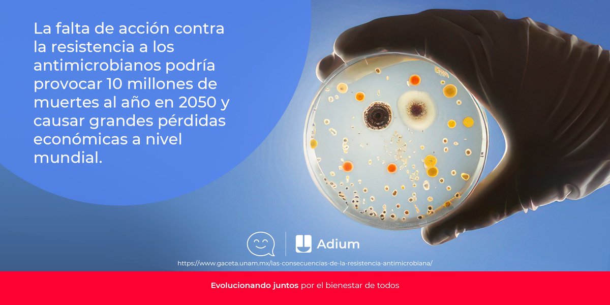 La UNAM reporta que el 95% de las 50 millones de recetas anuales para infecciones respiratorias superiores son innecesarias, lo que representa un grave problema de sobreprescripción de antibióticos.