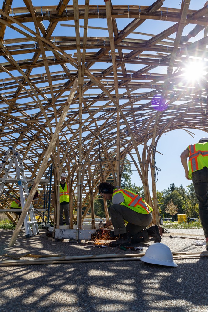 WashU Sam Fox School tweet media