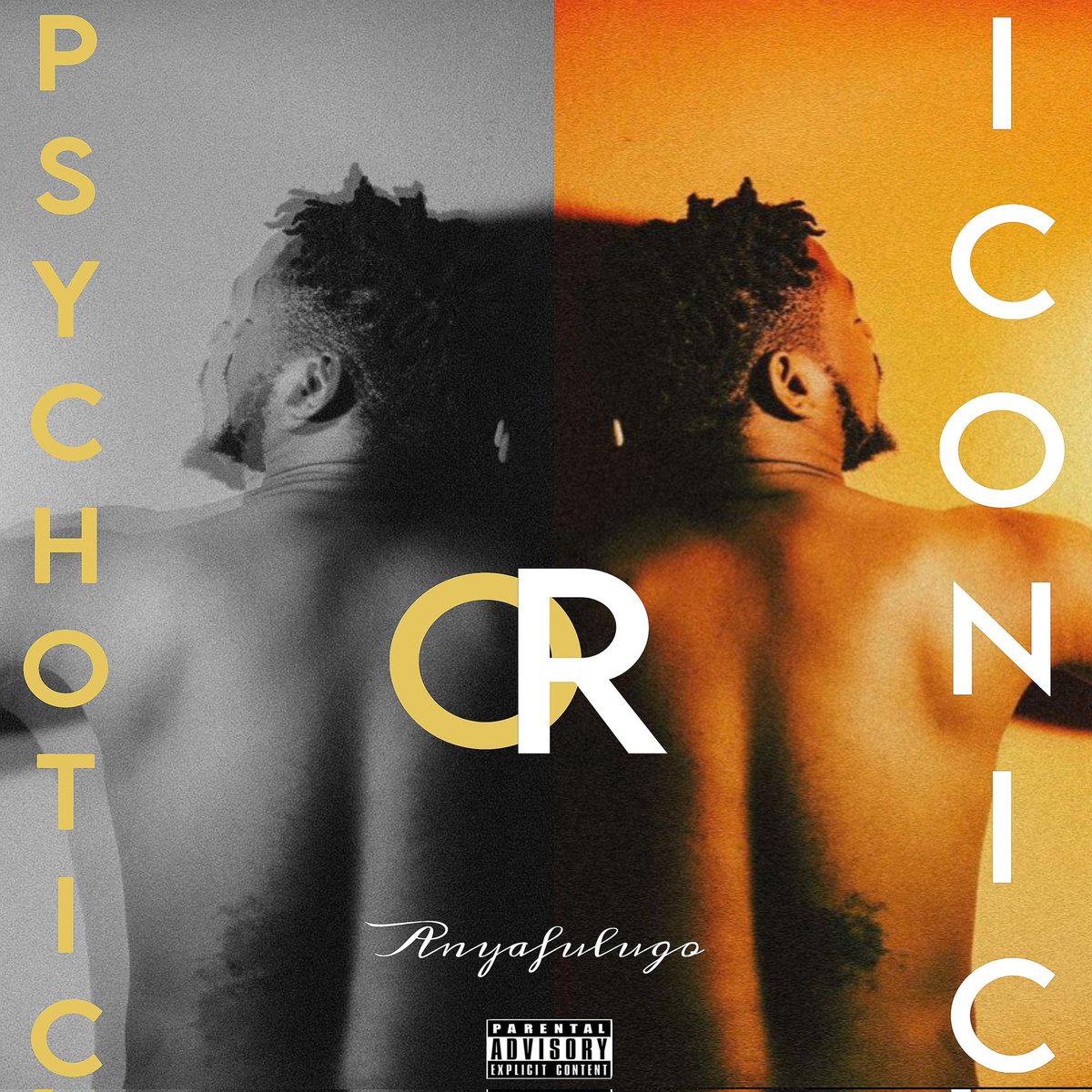 _Anyafulugo's tweet photo. The only emotion I have access to right now is gratitude. 

I thank myself for being able to listen and understand that it was time for me to surrender to music before she surrenders me. 

I thank every producer I worked with. Much love and respect to the artists on this tape. 

29th November 2024, my Album Psychotic or iconic drops on every platform. That day happens to be world listening day. A confirmation that the world will hear and feel this body of work. 

No much talks. 

Fingers crossed until that day. 

👹🦅