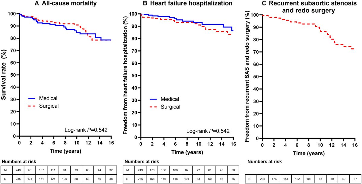JAHA (@jaha_aha) on Twitter photo Subaortic stenosis is rare but serious. In a study of 484 adults, older age, higher BMI, and worse symptoms predicted mortality and HF. #AHAJournals <a href="/AnkitAgrawalMD/">Ankit Agrawal</a> <a href="/TomKMWang/">Tom Wang MBChB MD</a> <a href="/CleClinicHVTI/">Cleveland Clinic Heart, Vascular & Thoracic</a> ahajrnls.org/412RLJR Subaortic stenosis is rare but serious. In a study of 484 adults, older age, higher BMI, and worse symptoms predicted mortality and HF. #AHAJournals <a href="/AnkitAgrawalMD/">Ankit Agrawal</a> <a href="/TomKMWang/">Tom Wang MBChB MD</a> <a href="/CleClinicHVTI/">Cleveland Clinic Heart, Vascular & Thoracic</a> ahajrnls.org/412RLJR