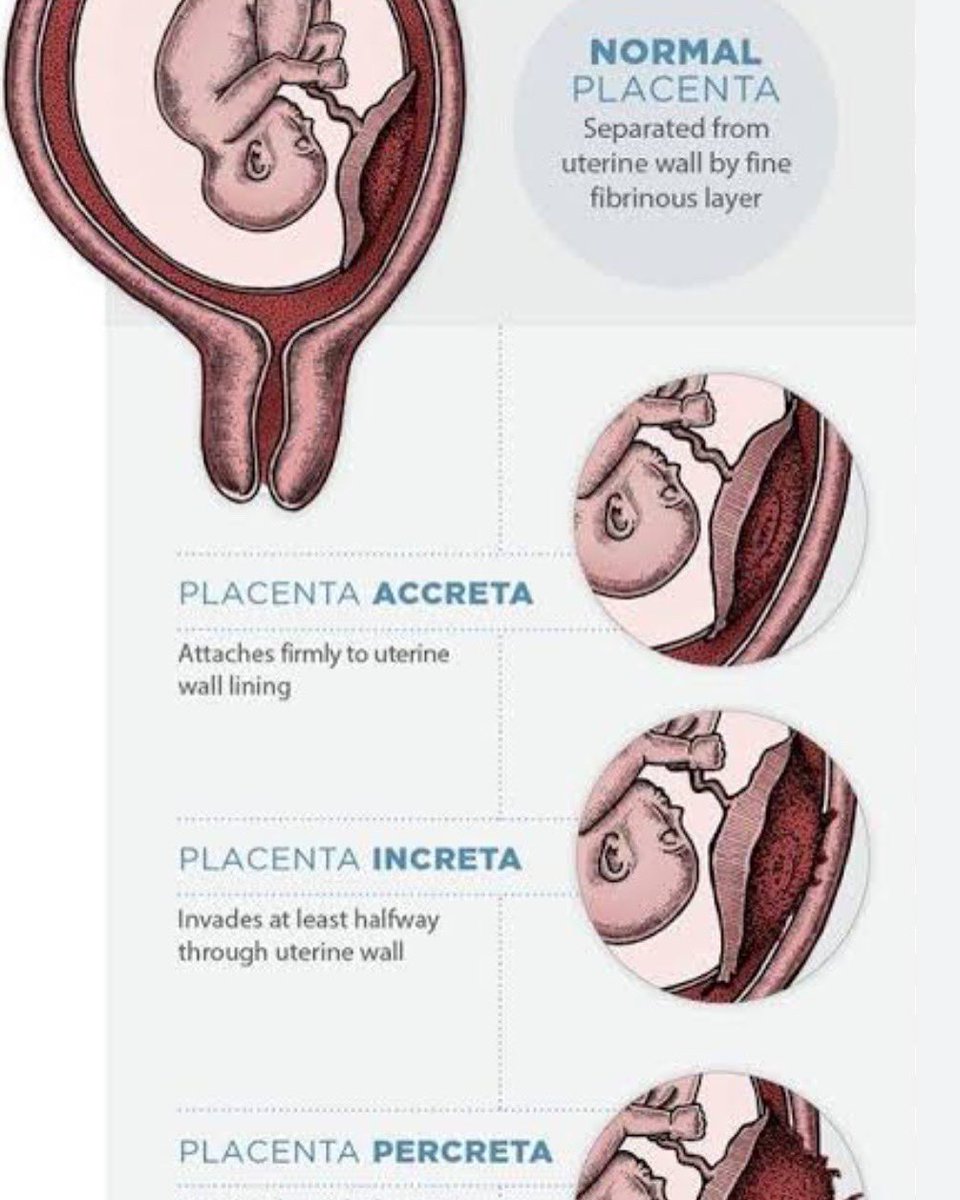 Prof. Dr. Çağrı Gülümser tweet media