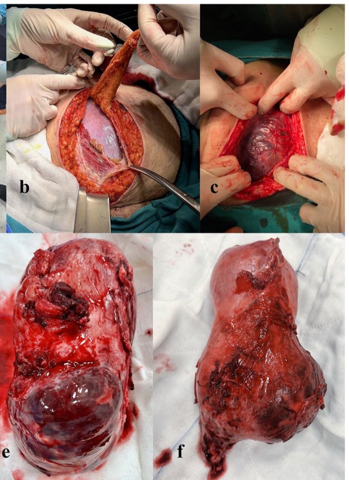 Prof. Dr. Çağrı Gülümser tweet media