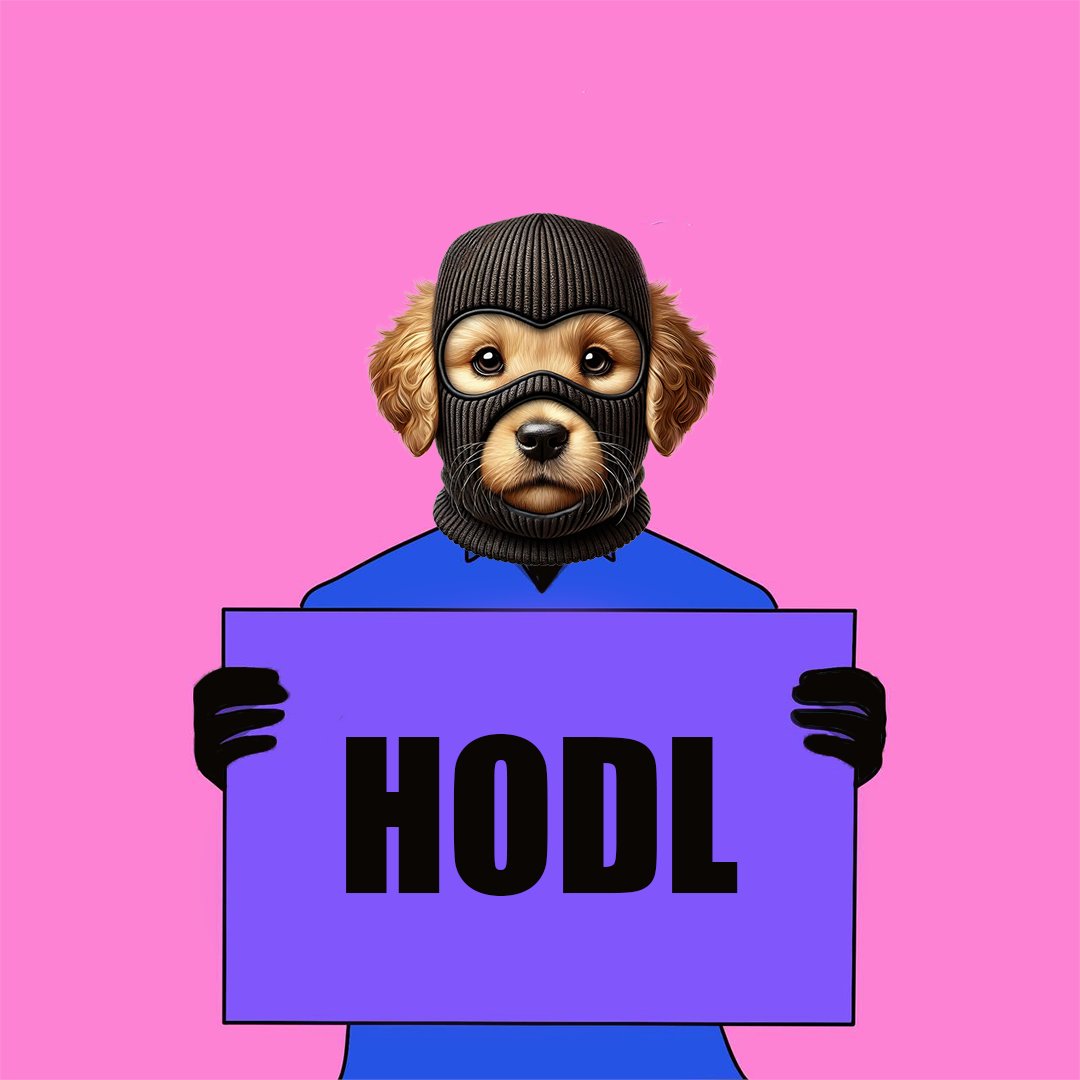 HODL HODL HODL