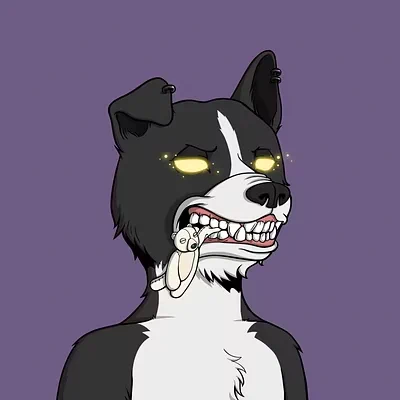 Image from vinzvansolami.sol (@vinzvansolami)