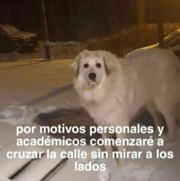 ValeArvejita's tweet photo. Sí soy. https://t.co/ayWNjumvfS