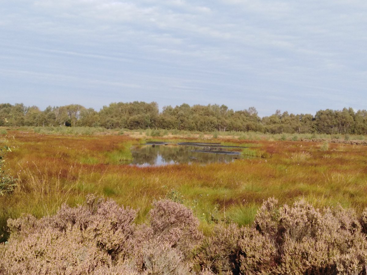 4peatssake2's tweet photo. @BlaneyCarola Stay strong & keep on chipping away Nearly 3 decades on some of my statutory adversaries have recently admitted that I/we were right to campaign as we did to save #Thorne & #Hatfield Moors SSSI #ForPeatsSake #ClimateCrisis @NEYorksNLincs @TonyJuniper @NaturalEngland @MayorRos https://t.co/ktgWcfW1wl