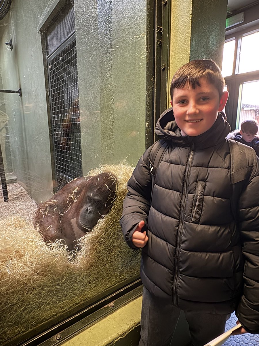 MoyleParkArt's tweet photo. What a great start to the week ! 1st year students spent a sunny day sketching in Dublin zoo thanks to @jcsplibraries ! A big thank you also to Mr Roche &amp; Fiona for assisting on the trip ✏️🐻🐗🐍🦆 @moylepark https://t.co/16ZoxWF0RL