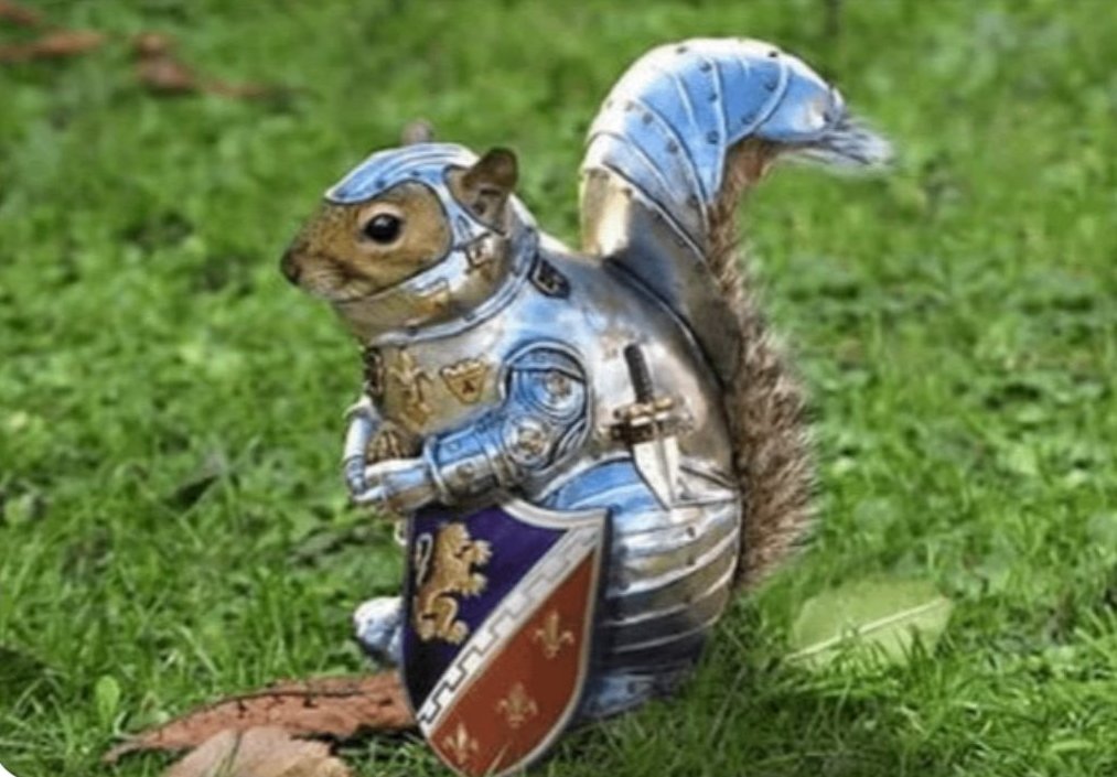 Radin_777's tweet image. Fouduglen qui se prépare à voir 300.000 personnes le chercher pour le fumer: