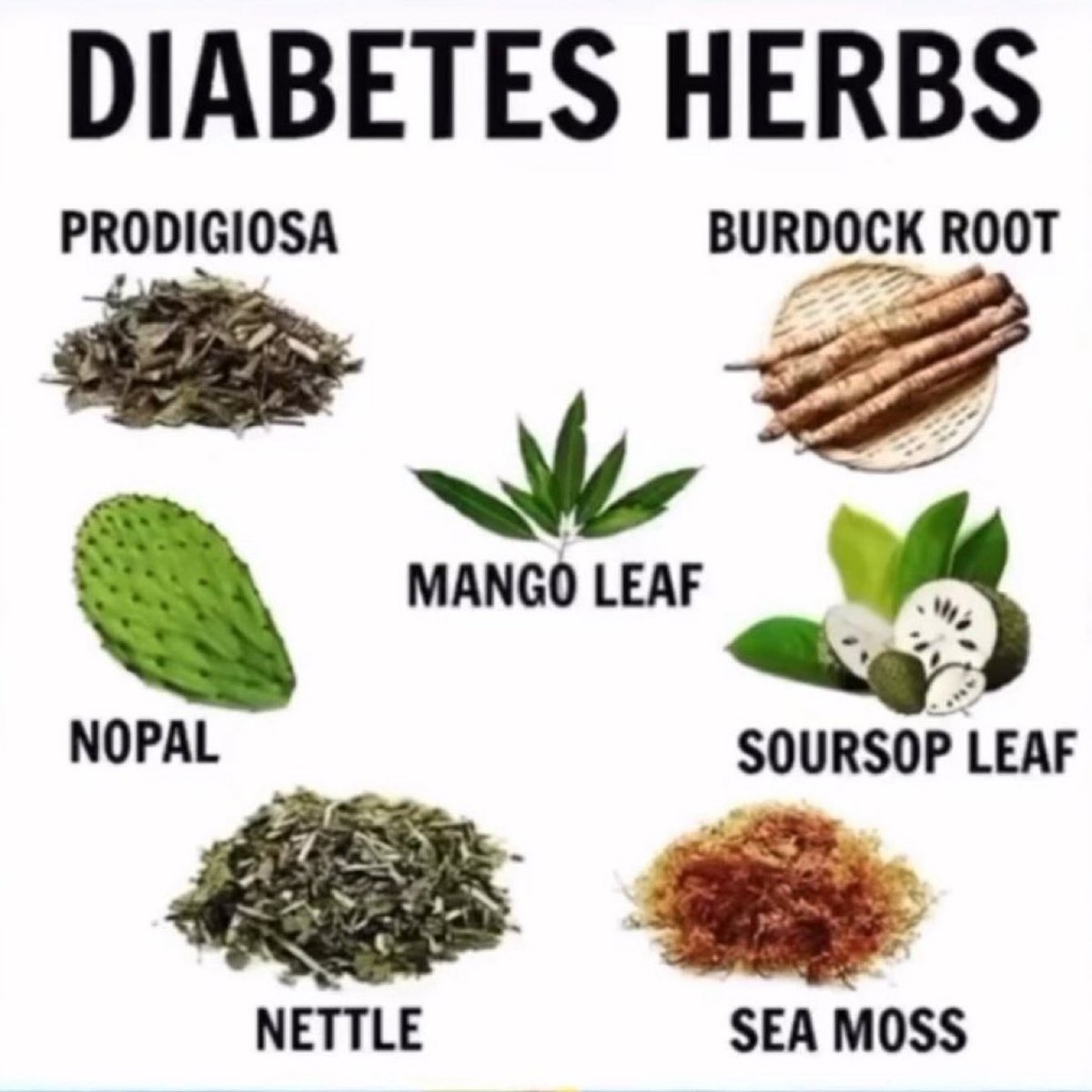 FredsFarm247's tweet photo. Burdock and Sea Moss are excellent herbs for supporting diabetes👇🏽

Available here: https://t.co/9hBQcwCDyb https://t.co/VvLztyOx0o