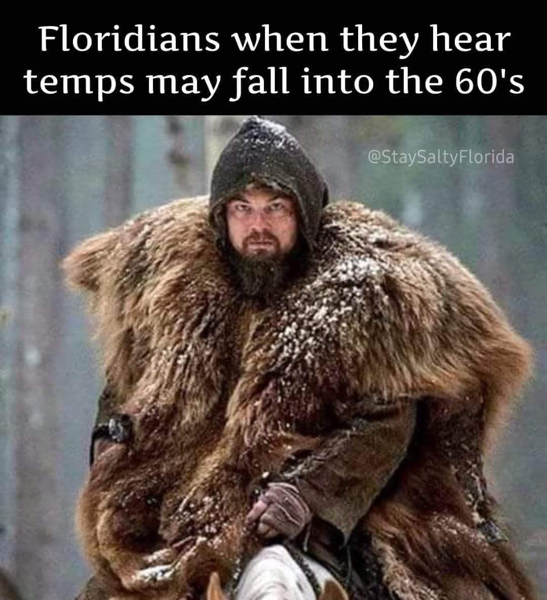 Everyone in Florida when the weather drops below 60 degrees! 🤣